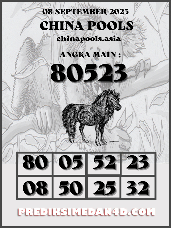 SYAIR%20KOTAK%20CHINA.png