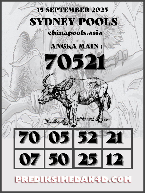 SYAIR%20KOTAK%20CHINA.png