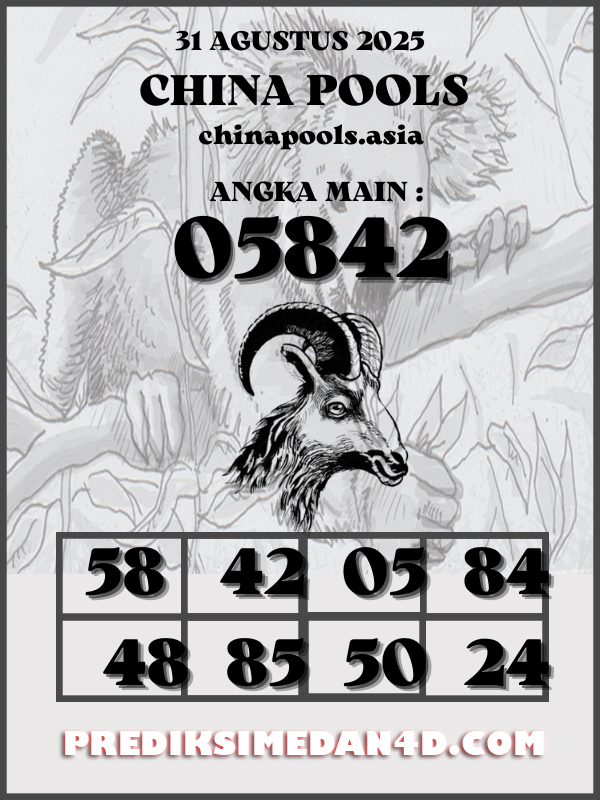 SYAIR%20KOTAK%20CHINA.png