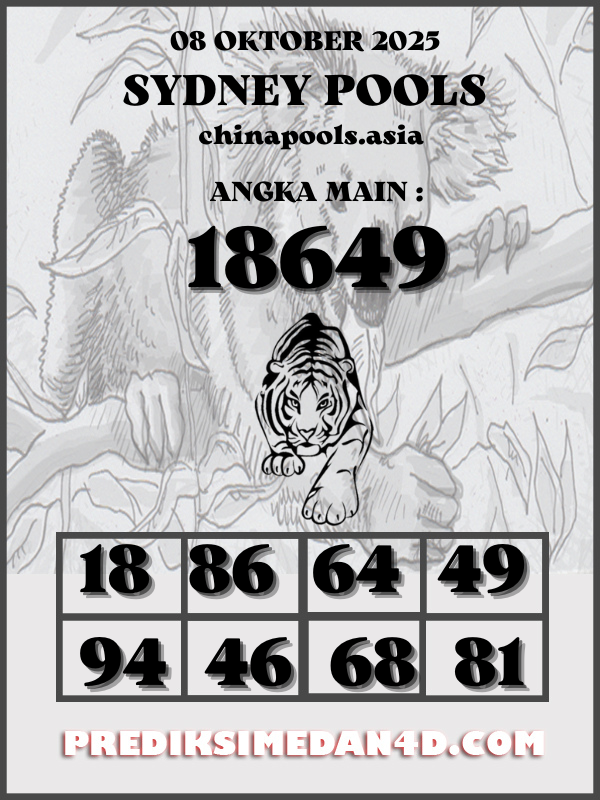 SYAIR%20KOTAK%20CHINA.png