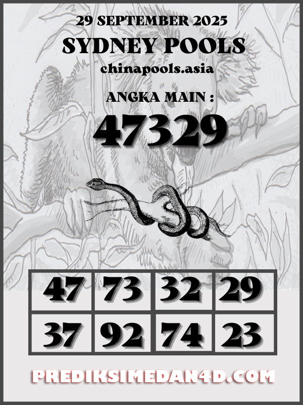 SYAIR%20KOTAK%20CHINA.png