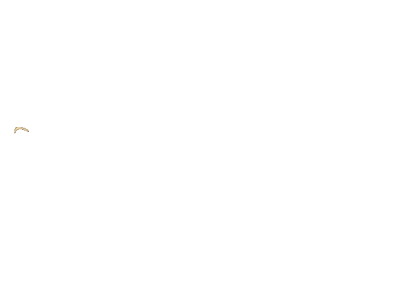 Customer support logo