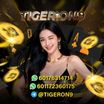Tiger Online logo