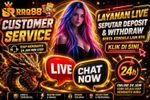 Customer support logo