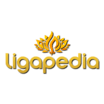 Customer support logo