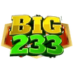 BIG233 logo